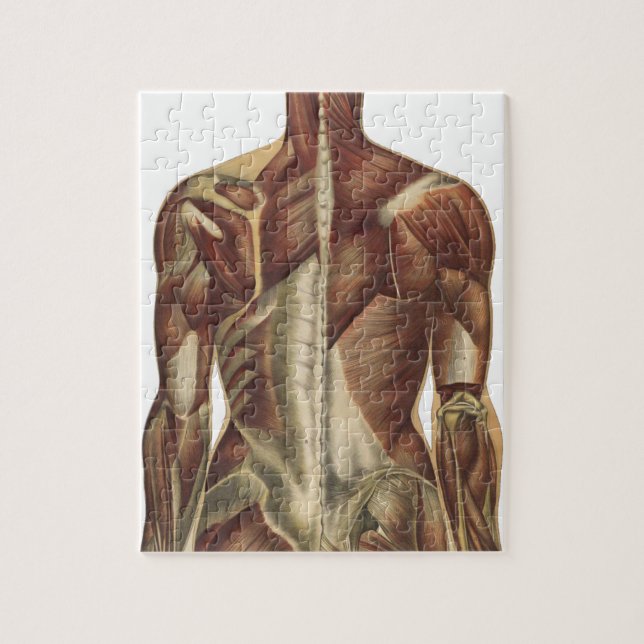 Vintage Anatomy Book Pages Jigsaw Puzzle (Vertical)