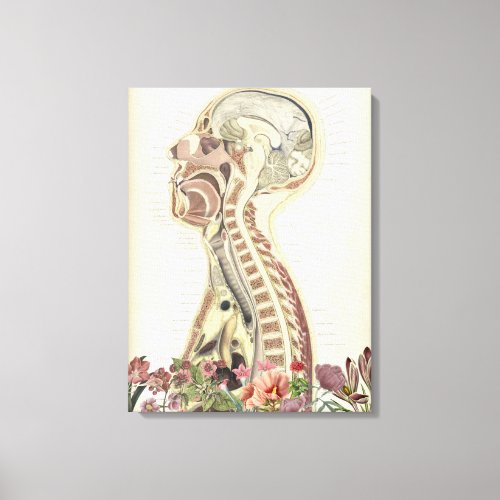 Vintage anatomy  canvas wall art 