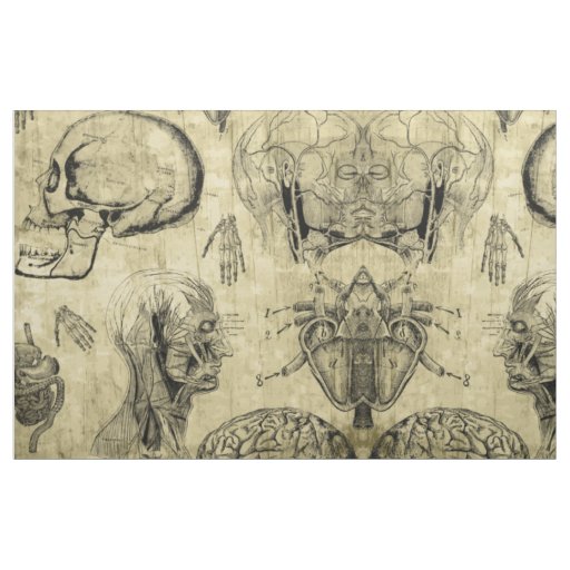 Vintage Anatomy Fabric