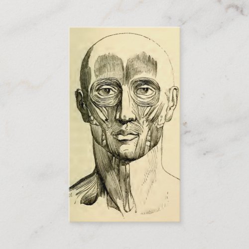 Vintage Anatomy  Muscles of the Face circa 1852 Business Card