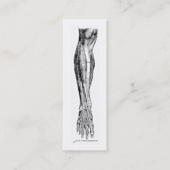 Vintage Anatomy Muscles Of The Leg In Black Mini Business Card by vintage_anatomy at Zazzle