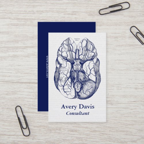 Vintage Anatomy Nerves of the Base of the Brain Business Card