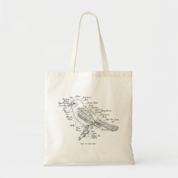 Vintage Anatomy Of A Bird Illustration Tote Bag by expiredink at Zazzle