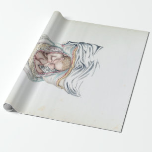 Vintage Anatomy of a Human Infant in Womb Wrapping Paper