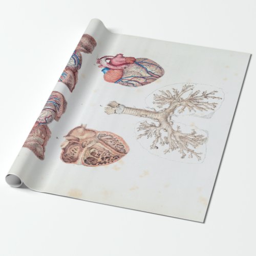 Vintage Anatomy of Human Heart and Lungs Wrapping Paper