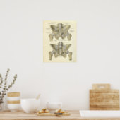 Vintage Anatomy Print Bones Pelvis | Zazzle