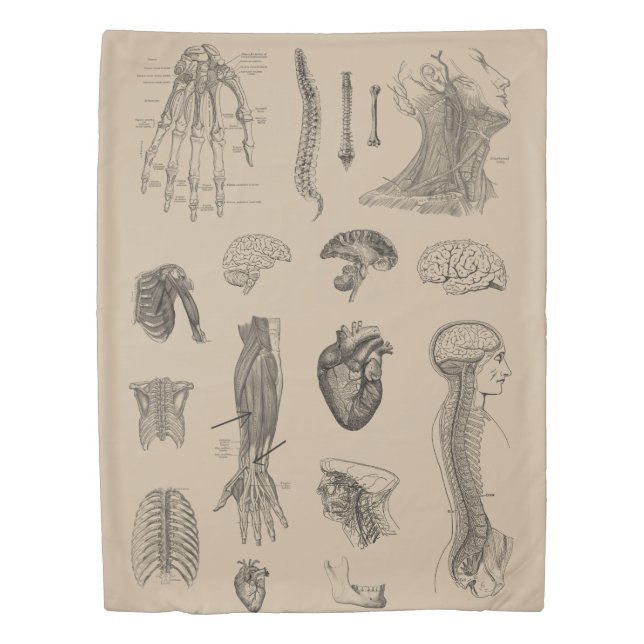 Vintage Anatomy Print Duvet Cover (Front)