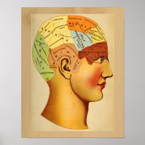 Vintage Anatomy Print Phrenology Head Chart Color