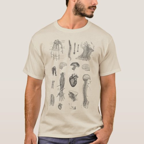 Vintage Anatomy Print T_Shirt