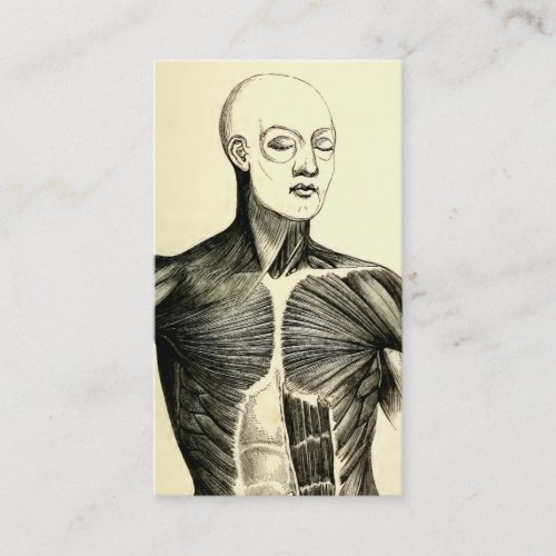 Vintage Anatomy  Torso  circa 1852 Business Card