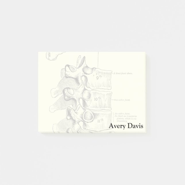 Vintage Anatomy | Vertebrae Post-it Notes (Front)