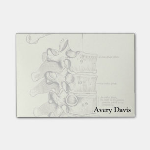 Vintage Anatomy Vertebrae Post-it Notes