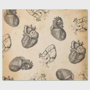Vintage Anatomy Wrapping Paper
