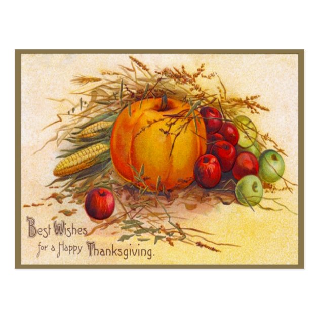 Vintage And Beautiful Thanksgiving Postcard