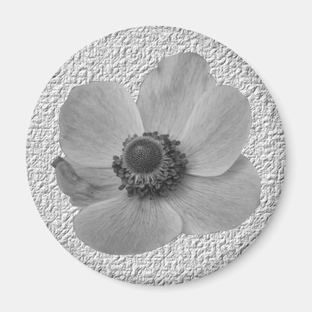 Vintage Anemone Magnet (Front)