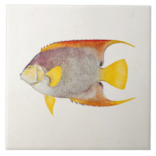Vintage Angel Fish Antique Hawaiian Print Template Ceramic Tile