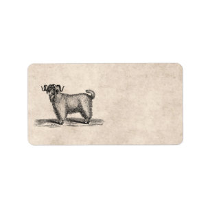 Vintage Angora Goat Illustration - 1800's Goats Label