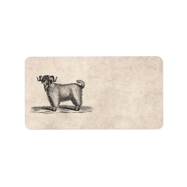 Vintage Angora Goat Illustration - 1800's Goats Label (Front)