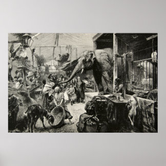 Vintage Animal Elephant Zoo Engraving Children Poster