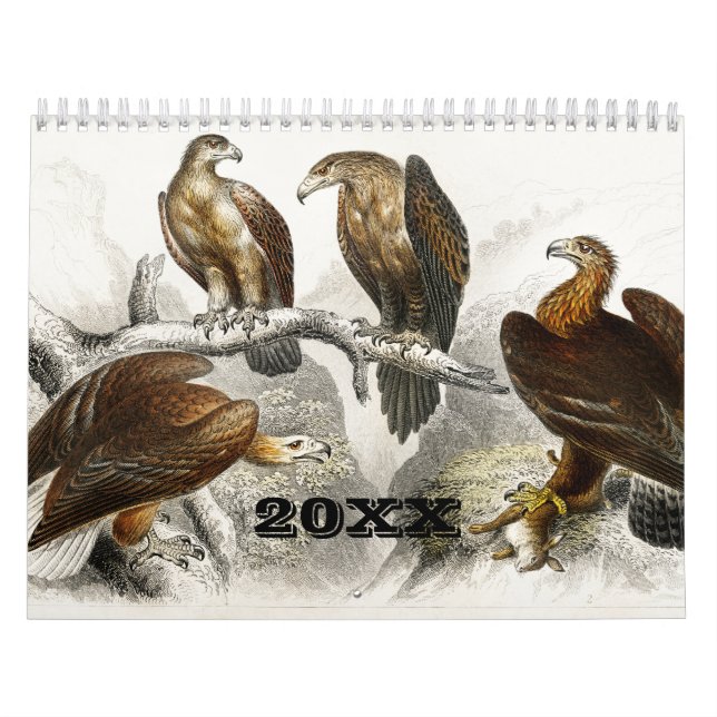 Vintage Animal Insects Bugs Fish Zoology Kingdom Calendar (Cover)