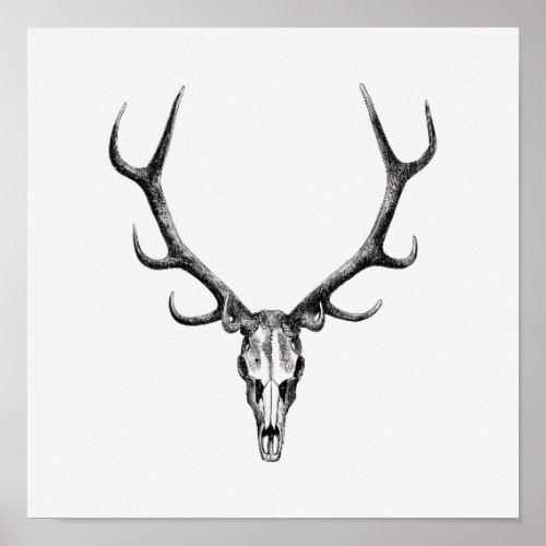 Vintage Animal Skull Poster