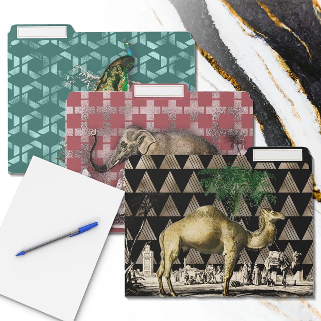 Vintage Animals By D'Orbigny  File Folder (Creator Uploaded)