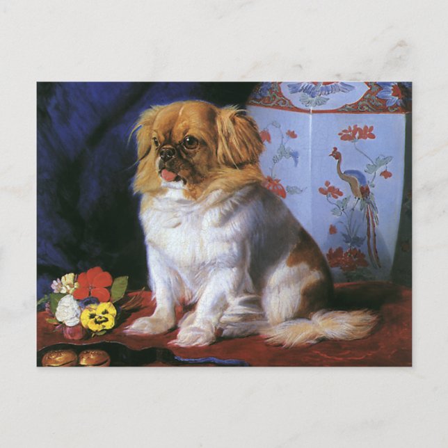 Vintage Animals, Toy Pekingese Puppy Dog Postcard (Front)