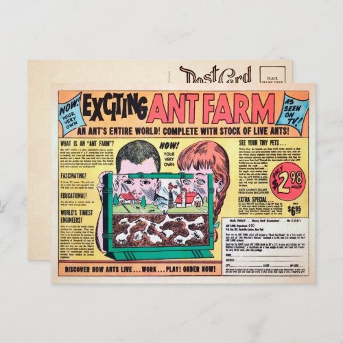 Vintage Ant Farm Ad Postcard