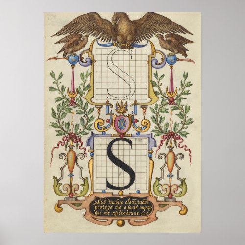 Vintage antiquarian caligraphy of letter S alphabe Poster