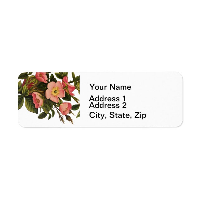 Vintage Antique Art Rose Flower Art Illustration Label (Front)