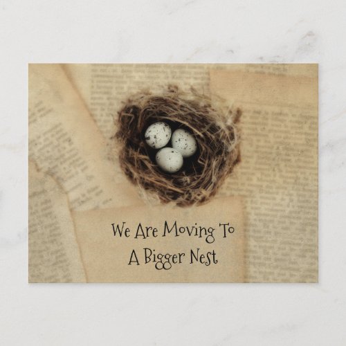 Vintage Antique Bird Nest Eggs Cute Moving Postcard