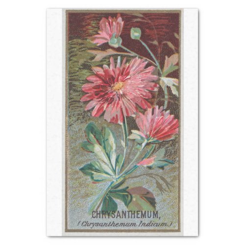 Vintage Antique Classic Chrysanthemum Flowers Tissue Paper