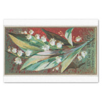 Lily of the Valley Grasset Floral Tissue Paper