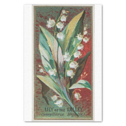 Vintage Antique Classic Lily of the Valley Flowers Tissue Paper