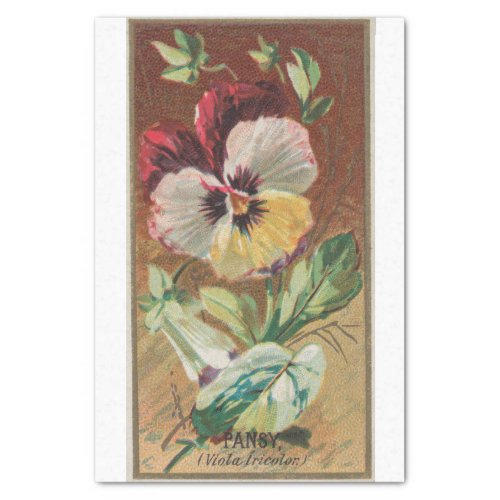 Vintage Antique Classic Pansy Flower Tissue Paper