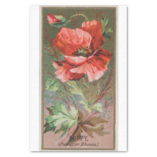 Vintage Antique Classic Poppy Flower Tissue Paper