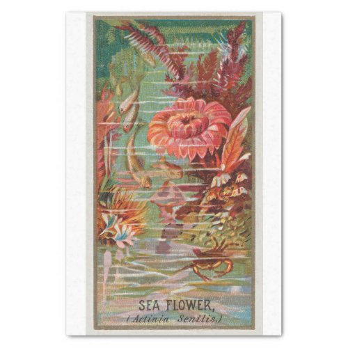 Vintage Antique Classic Sea Flower Tissue Paper