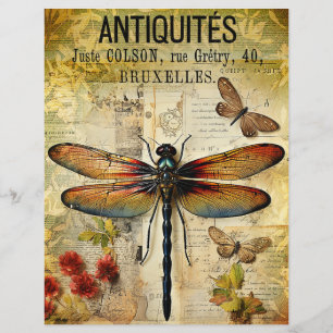 Vintage Antique Dragonfly Ephemera