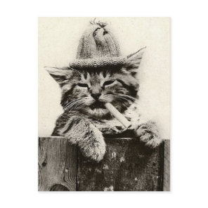 Vintage Antique Funny Nostalgia cute cat/kitten Postcard