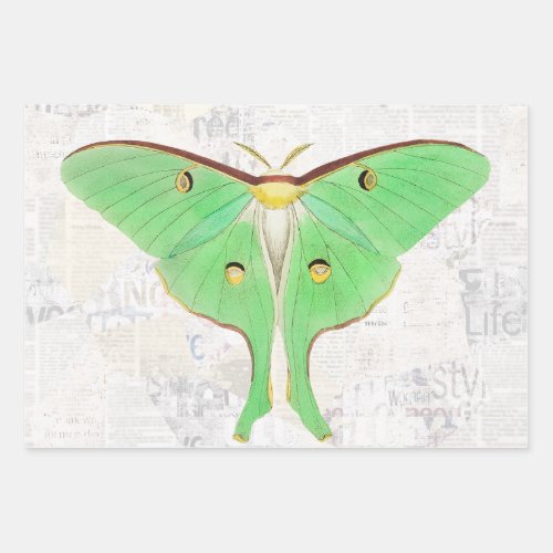 Vintage Antique Luna Moth Butterfly Decoupage Wrapping Paper Sheets