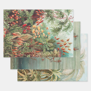 Vintage Antique Nature Flowers Rainforest Wrapping Paper Sheets
