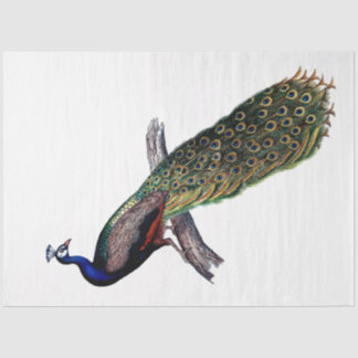 Vintage Antique Peacock Decoupage Tissue Paper