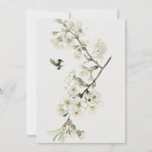 Vintage apple blossom illustration invitation