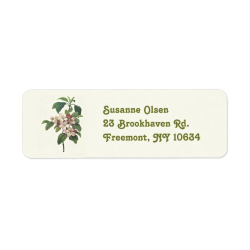 Vintage apple blossom return address labels