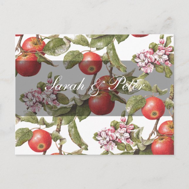 Vintage Apple Blossom Save-the-Date Announcement Postcard (Front)