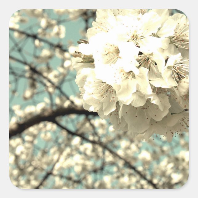 Vintage apple blossom square sticker (Front)