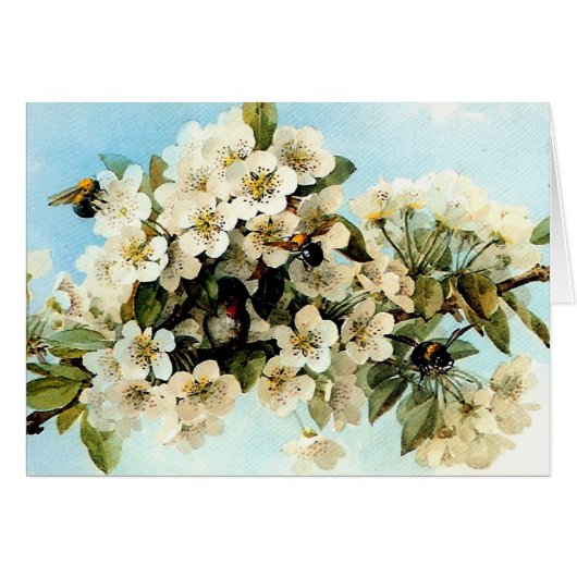 Vintage Apple Blossoms Cards (Front Horizontal)