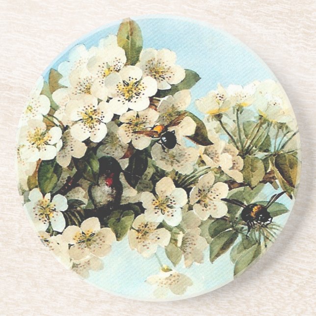 Vintage Apple Blossoms Coaster (Front)