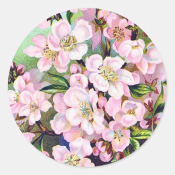 Vintage Apple Blossoms Sticker by LeAnnS123 at Zazzle