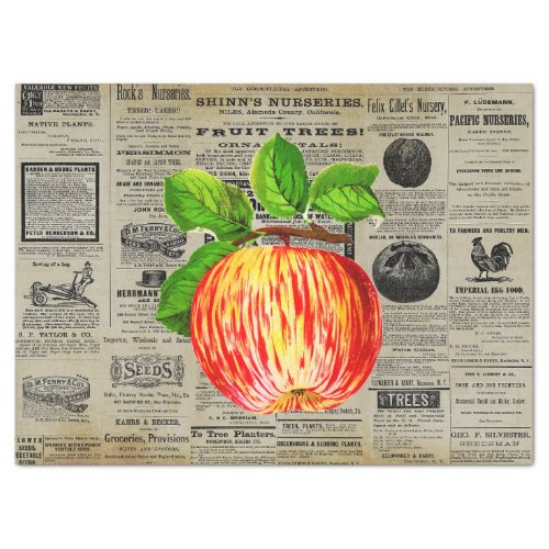 Vintage Apple Fruit Horticulture Ads Ephemera  Tissue Paper